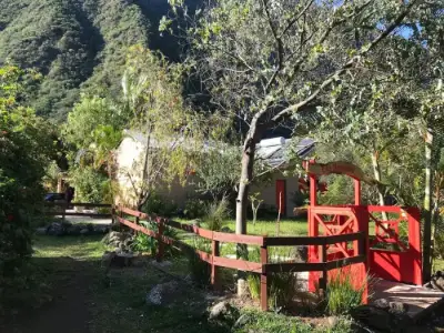 Chambre d'hôtes Les Mimosas à Grand-Bassin, Le Tampon