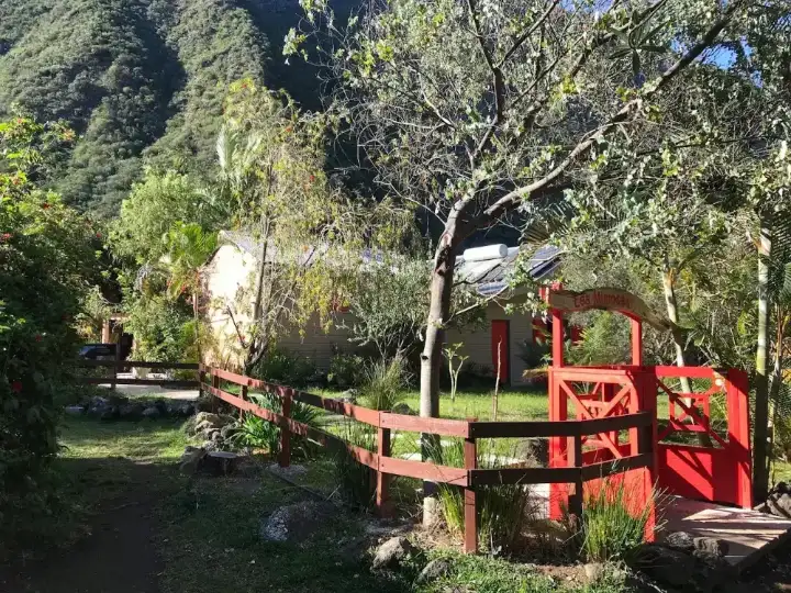 Chambre d'hôtes Les Mimosas à Grand-Bassin, Le Tampon