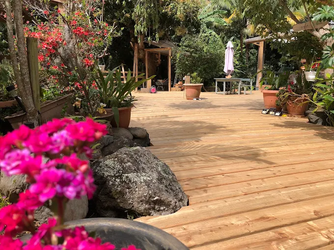 Deck en bois fleuri, bougainvilliers