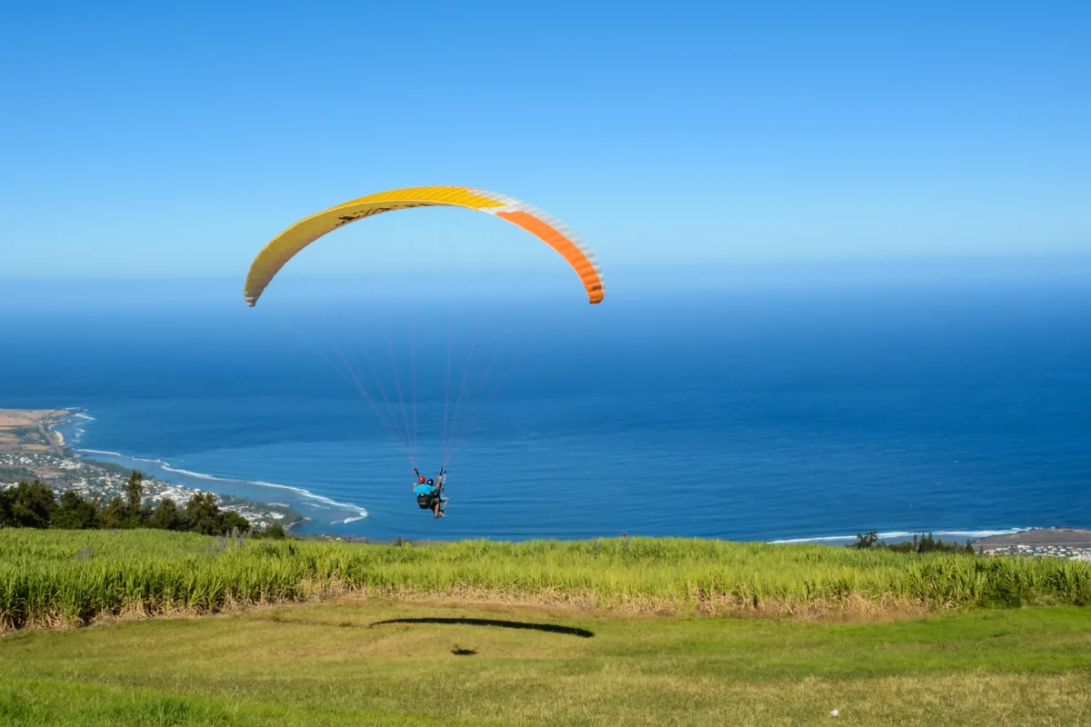Parapente en approche au-dessus des champs de canne à sucre, côte ouest de La Réunion
