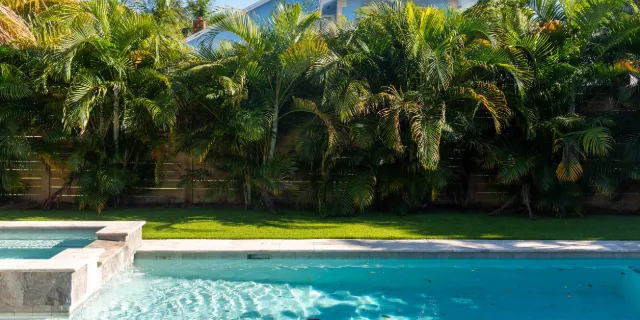 Piscine de gîte bordée de palmiers sous le ciel bleu de La Réunion