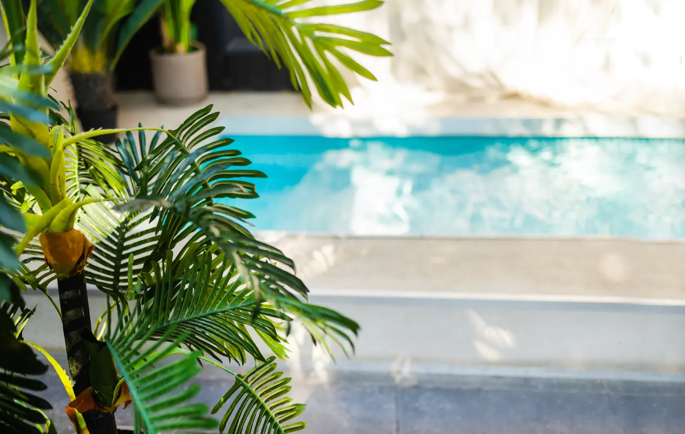 Piscine d'un gîte bordée de palmiers, eau turquoise au soleil