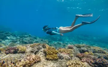 Snorkeling au-dessus des coraux du lagon de La Réunion